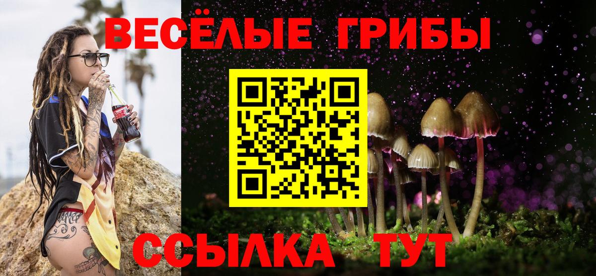 Галлюциногенные грибы мицелий Дедовск